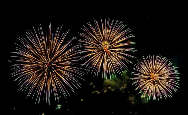 Why Are Dogs Scared of Fireworks