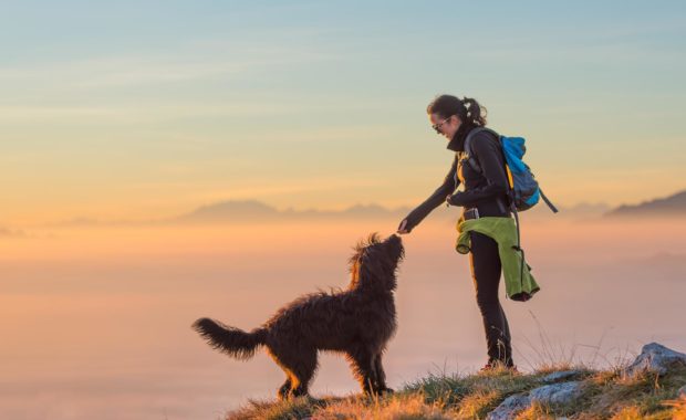 hiking with dogs