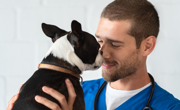 castle rock veterinarian