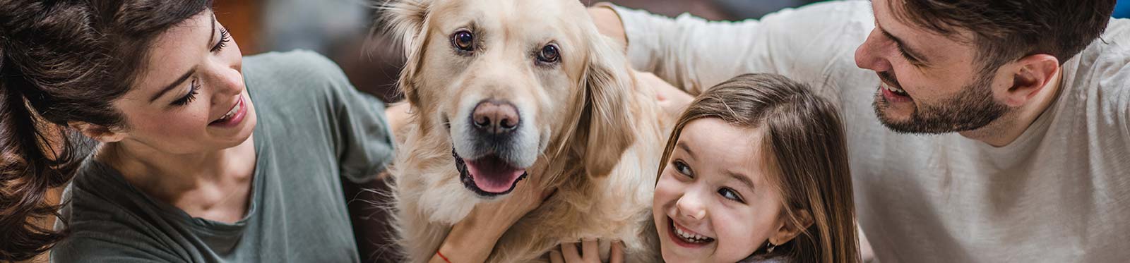 header_pet-owners_m
