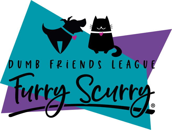 Dumb Friends League Furry Scurry Logo, teal and purple with dog and cat.