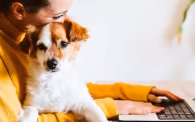 Emergency Vet Care: How Do You Know When It’s Needed?