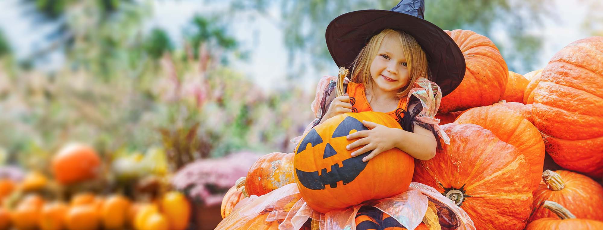 Little girl in cute which costume holds a pumpkin in a PumpkinFest 2022 pumpkin patch.