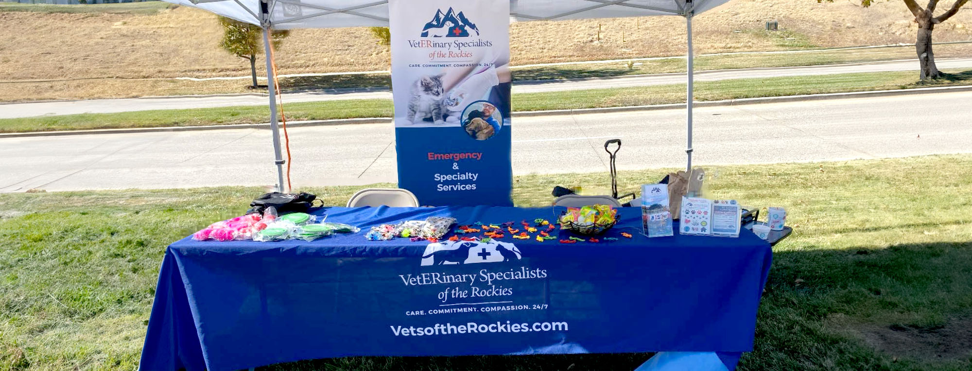 The Veterinary Specialists of the Rockies table at a community event in The Meadows neighborhood. Table with a blue table cloth and giveaway items in front of a standup banner.